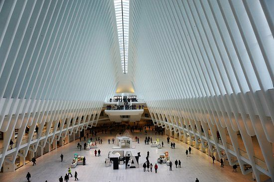 The Oculus